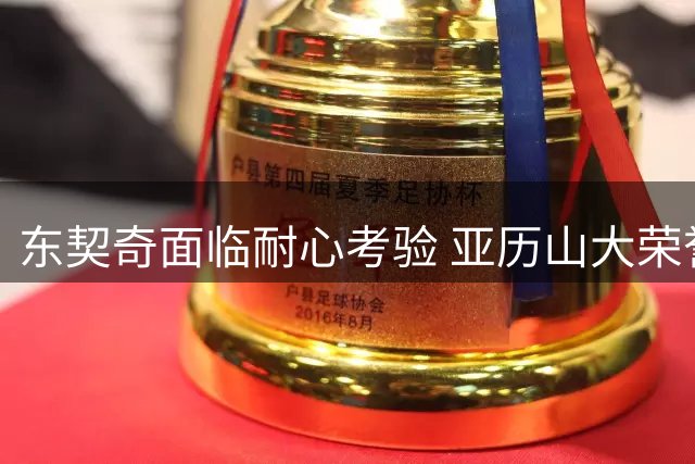 东契奇面临耐心考验 亚历山大荣誉加身