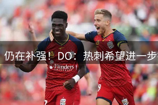 仍在补强！DO：热刺希望进一步提升火力，有意萨维尼奥、加克波